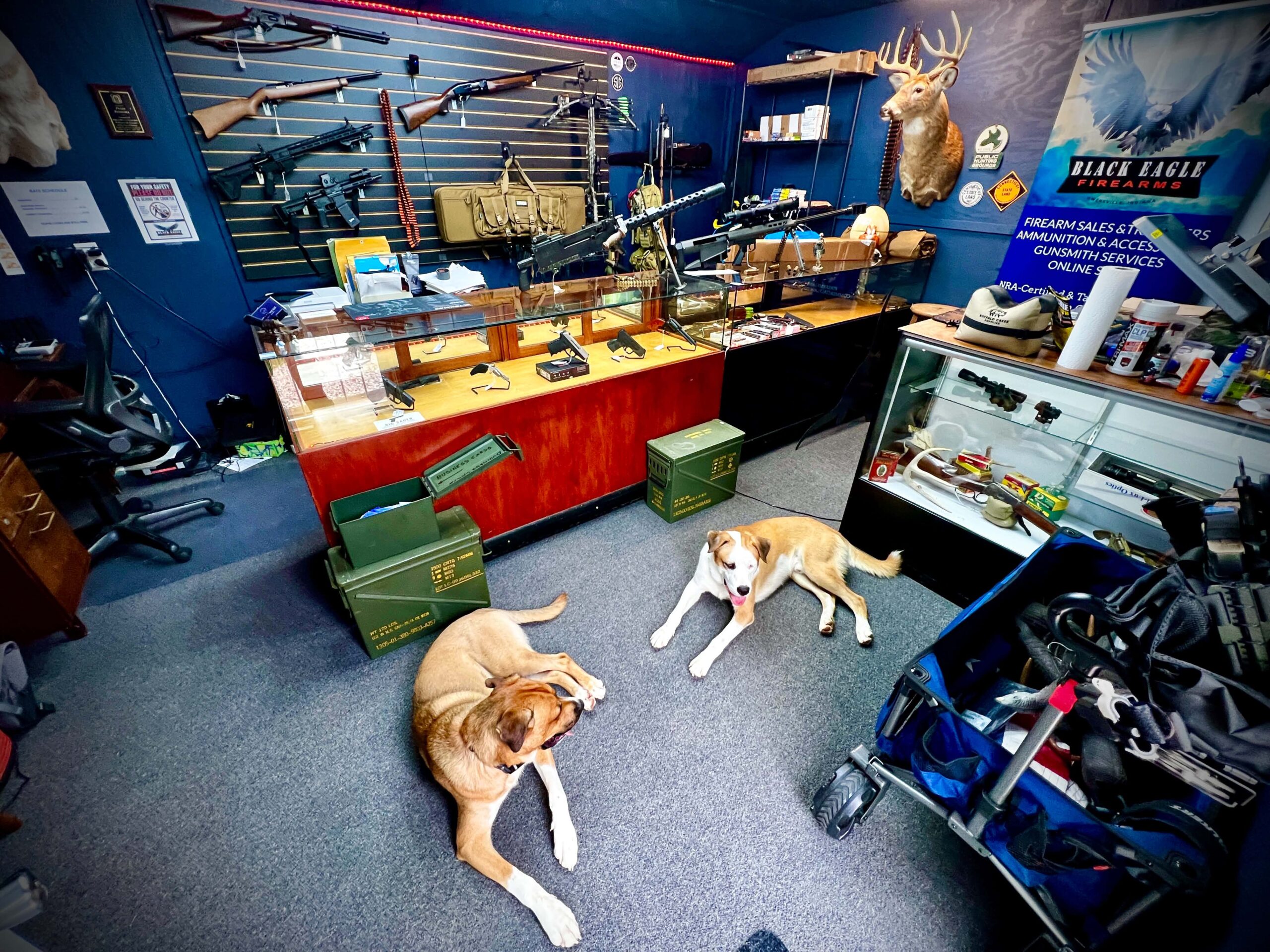 Black Eagle Firearms shop