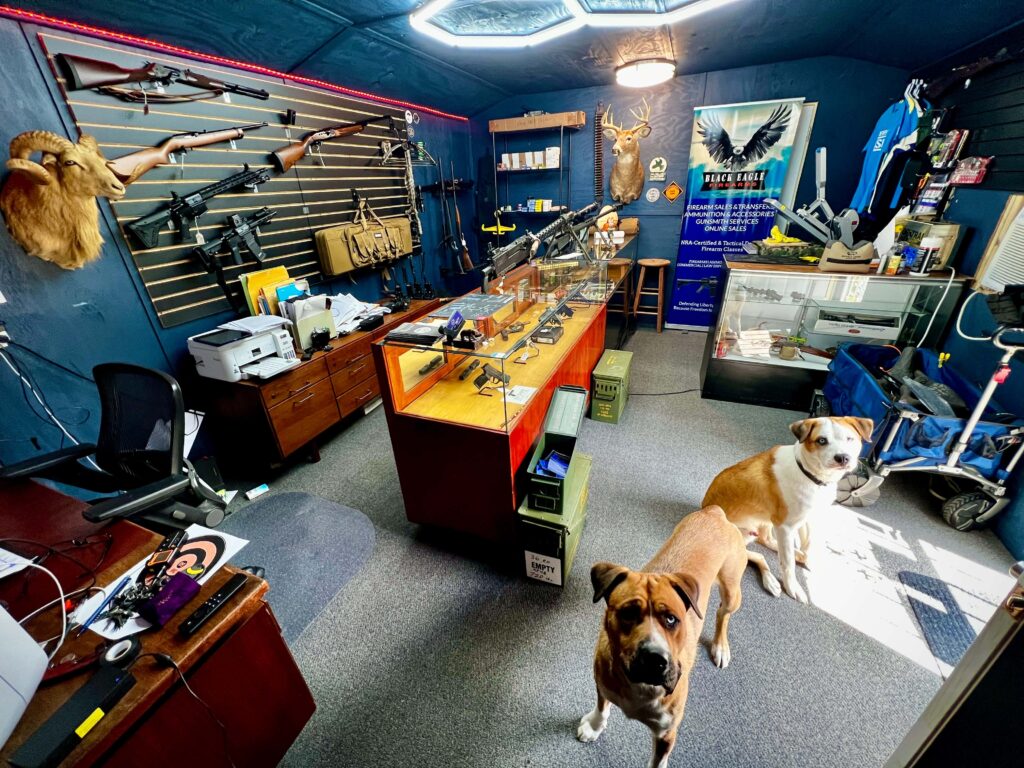 Inside the Black Eagle Firearms gun shop in Owensville, Indiana: rifle wall, handgun display cases and the two shop dogs